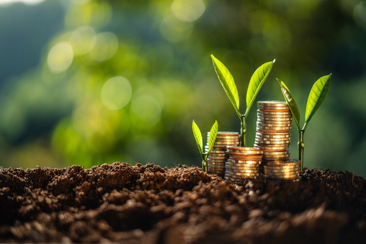 money-and-tree-grow-up-to-saving-money-concept-2026-01-09-06-23-54-utc groot